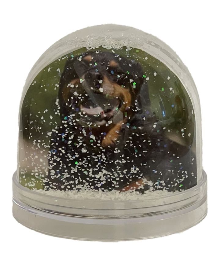 Your Snow Globe