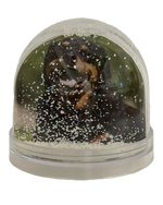 Load image into Gallery viewer, Your Snow Globe
