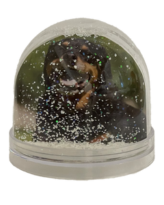 Your Snow Globe