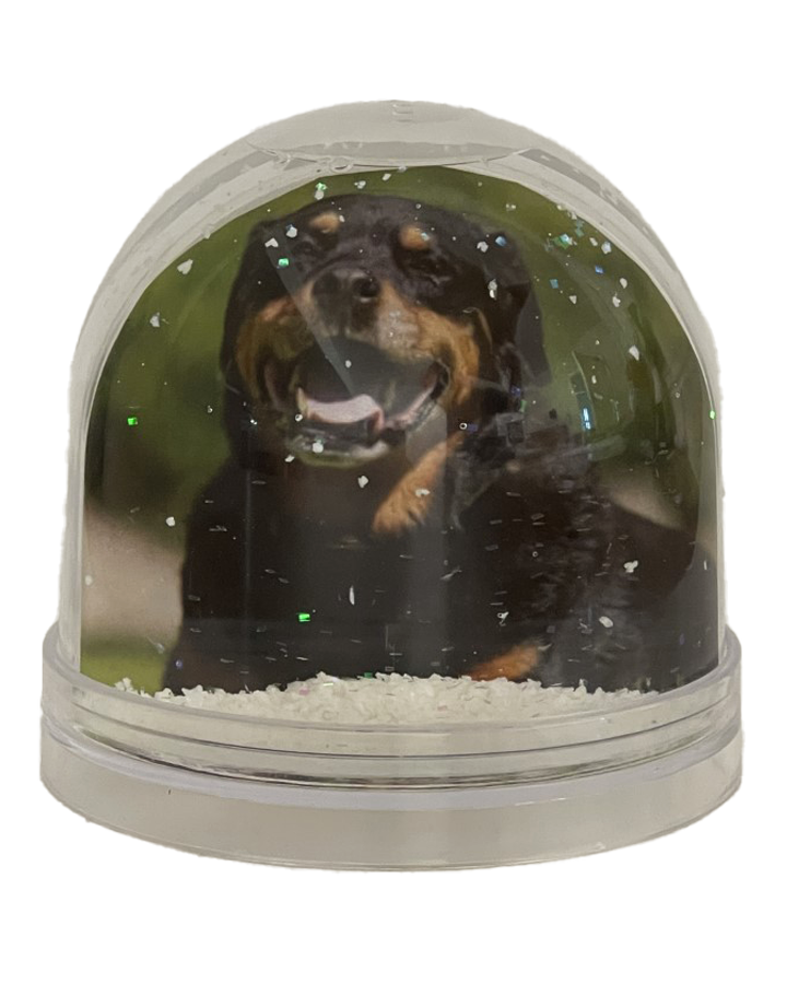 Your Snow Globe
