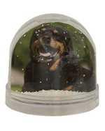 Load image into Gallery viewer, Your Snow Globe

