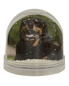 Your Snow Globe
