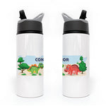 Load image into Gallery viewer, Dinosaur Bottle
